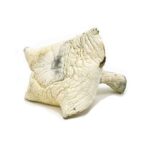 Albino A+ Magic Mushrooms (28g)