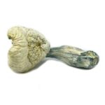 Great White Monster Mushroom (28g)